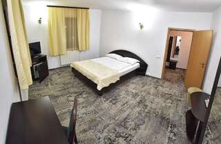 Отель Hotel Paraul Rece Буштени Улучшенный двухместный номер с 1 кроватью-2